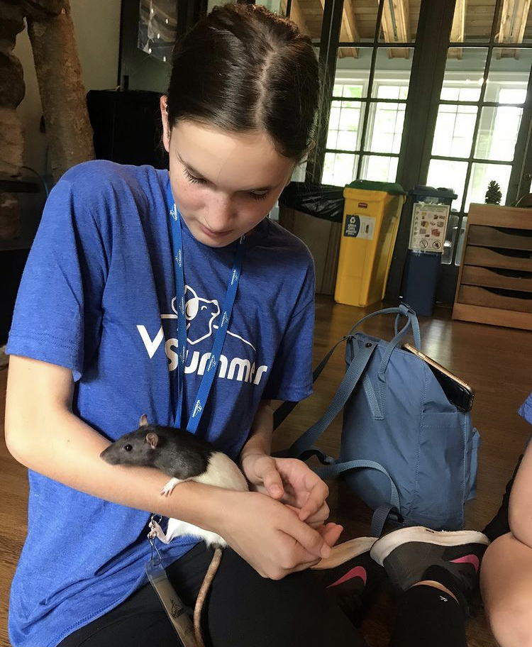 Veterinary Summer Camp VetSummer