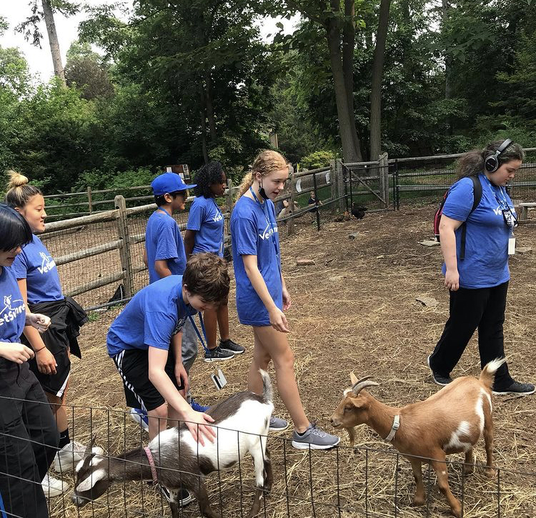 Veterinary Medicine schools meet goats