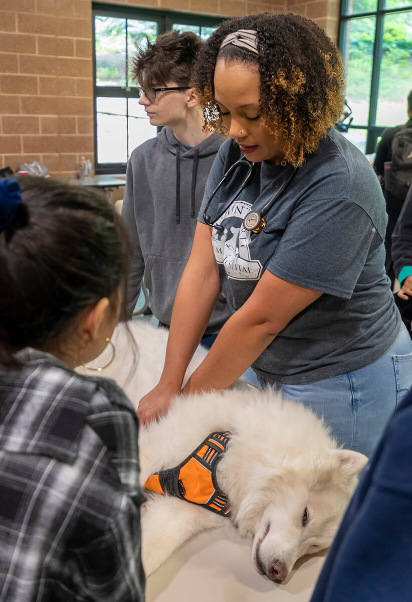 Vet teacher with dog and students