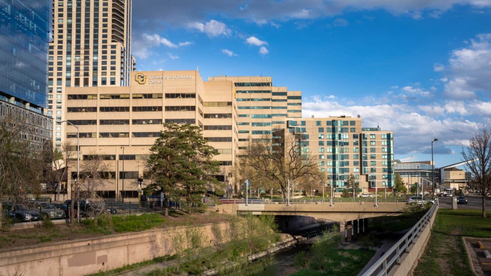 Animal Camp in Denver Vet Summer Camp VetSummer