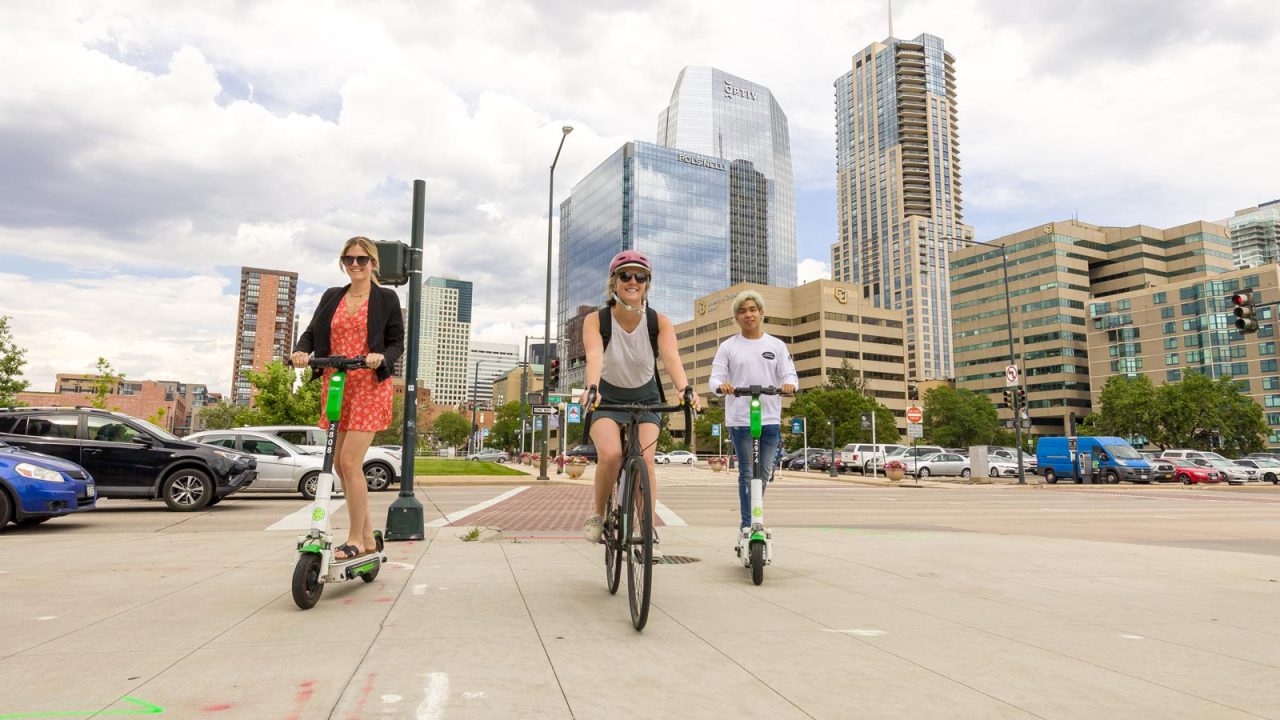 Animal Camp in Denver Vet Summer Camp VetSummer