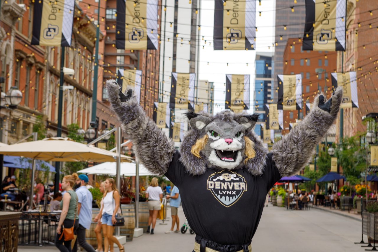 Animal Camp in Denver Vet Summer Camp VetSummer