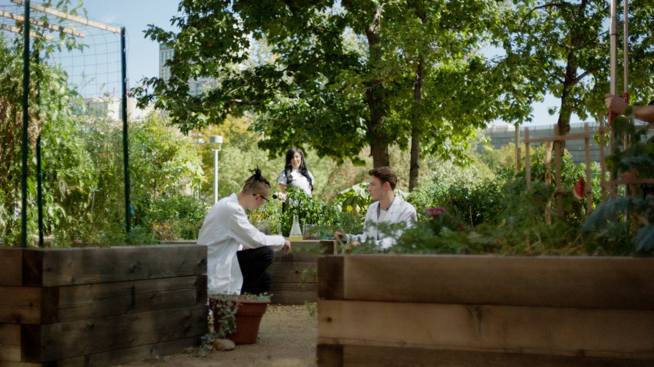 Animal Camp in Denver Vet Summer Camp VetSummer