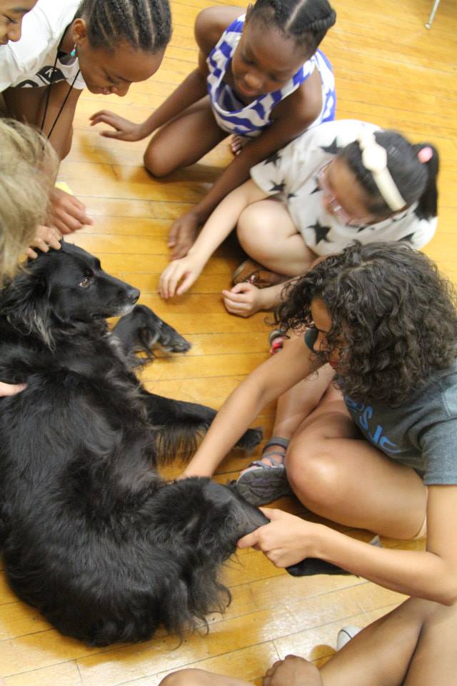 Veterinary Medicine camp students circling a dog