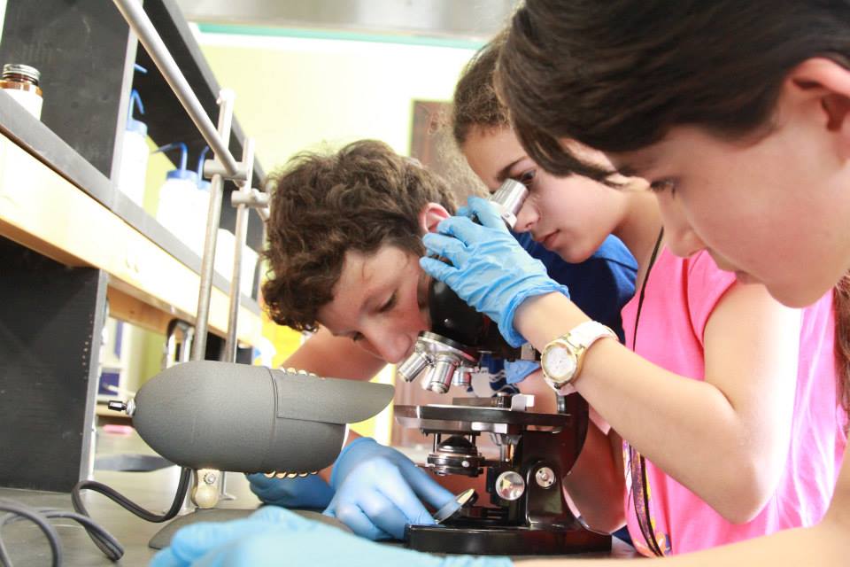 Veterinary medicine camp students using microscopes.