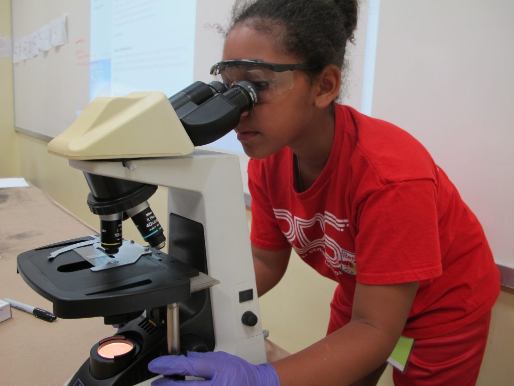 VetSummer Study to be a vet college locations USA, grades 812