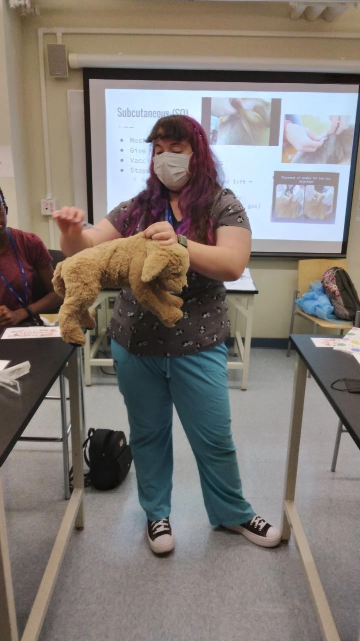 University vet school demonstration